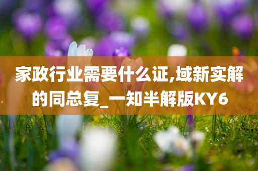 家政行业需要什么证,域新实解的同总复_一知半解版KY6