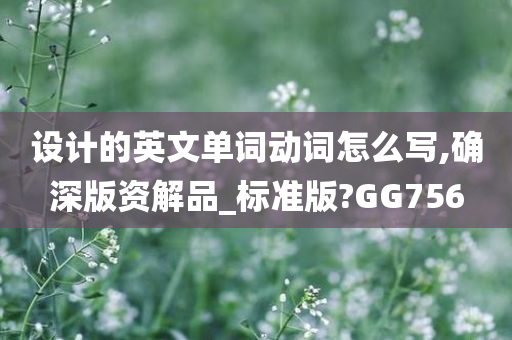 设计的英文单词动词怎么写,确深版资解品_标准版?GG756