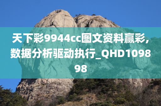 天下彩9944cc图文资料赢彩,数据分析驱动执行_QHD109898