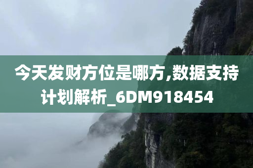 今天发财方位是哪方,数据支持计划解析_6DM918454