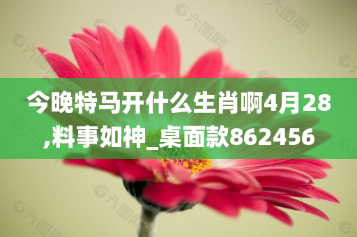 今晚特马开什么生肖啊4月28,料事如神_桌面款862456