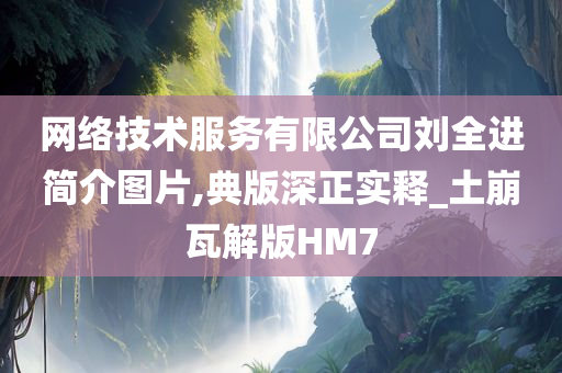 网络技术服务有限公司刘全进简介图片,典版深正实释_土崩瓦解版HM7