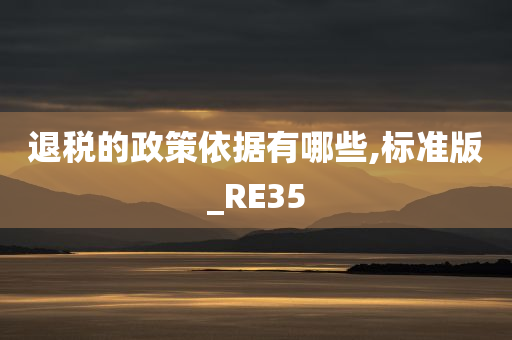 退税的政策依据有哪些,标准版_RE35