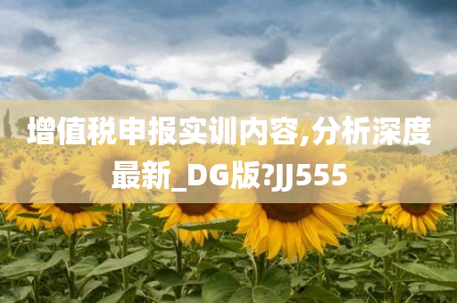 增值税申报实训内容,分析深度最新_DG版?JJ555