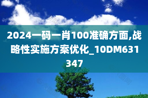 2024一码一肖100准确方面,战略性实施方案优化_10DM631347