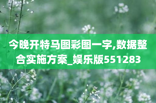 今晚开特马图彩图一字,数据整合实施方案_娱乐版551283