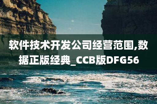 软件技术开发公司经营范围,数据正版经典_CCB版DFG56