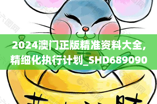 2024澳门正版精准资料大全,精细化执行计划_SHD689090