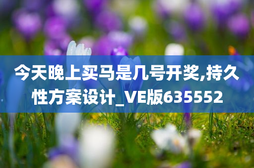 今天晚上买马是几号开奖,持久性方案设计_VE版635552