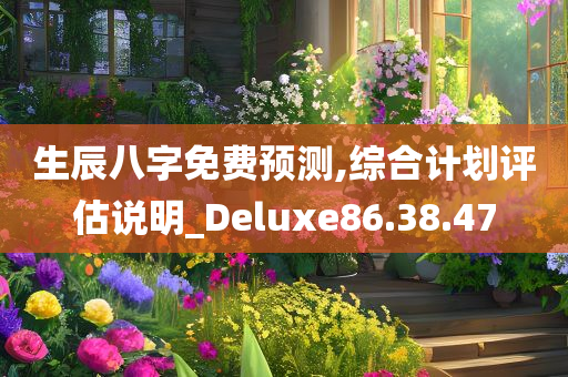 生辰八字免费预测,综合计划评估说明_Deluxe86.38.47