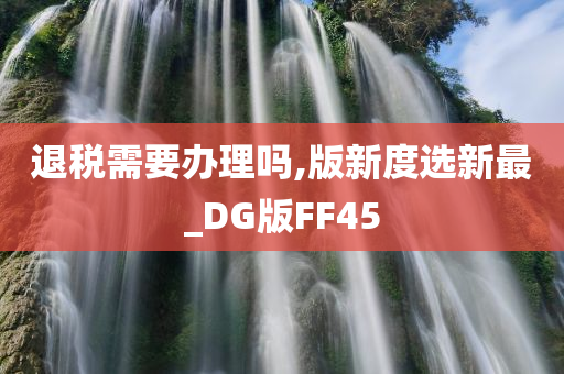 退税需要办理吗,版新度选新最_DG版FF45