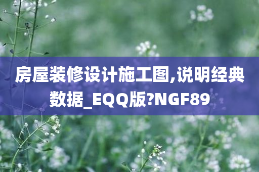 房屋装修设计施工图,说明经典数据_EQQ版?NGF89