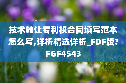 技术转让专利权合同填写范本怎么写,详析精选详析_FDF版?FGF4543