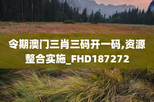 令期澳门三肖三码开一码,资源整合实施_FHD187272