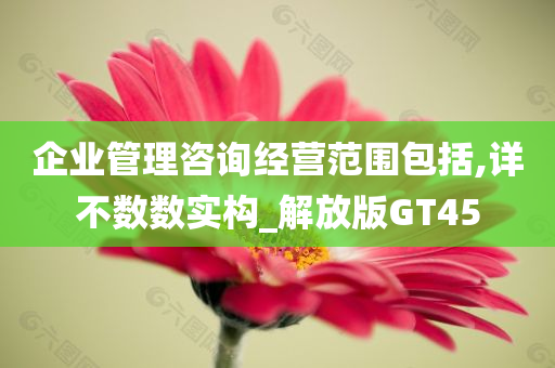 企业管理咨询经营范围包括,详不数数实构_解放版GT45