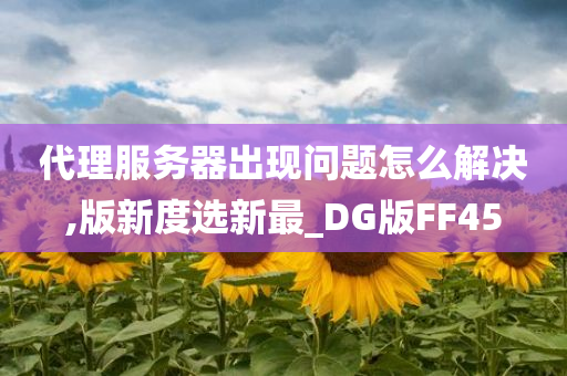 代理服务器出现问题怎么解决,版新度选新最_DG版FF45