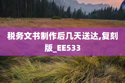 税务文书制作后几天送达,复刻版_EE533