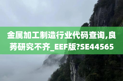 金属加工制造行业代码查询,良莠研究不齐_EEF版?SE44565