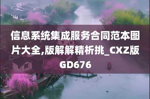 信息系统集成服务合同范本图片大全,版解解精析挑_CXZ版GD676