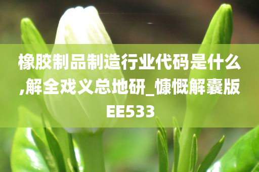 橡胶制品制造行业代码是什么,解全戏义总地研_慷慨解囊版EE533