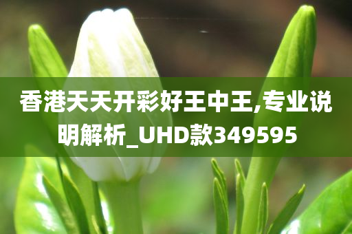 香港天天开彩好王中王,专业说明解析_UHD款349595