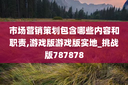 市场营销策划包含哪些内容和职责,游戏版游戏版实地_挑战版787878