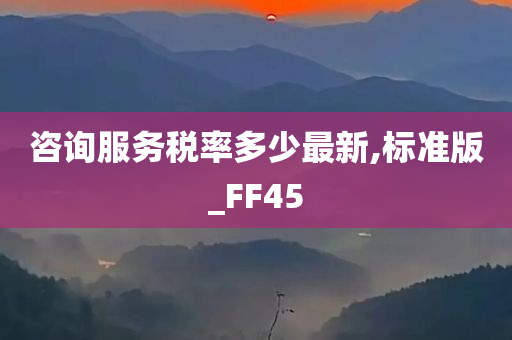 咨询服务税率多少最新,标准版_FF45