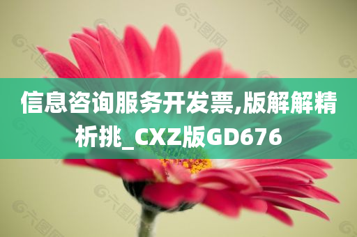 信息咨询服务开发票,版解解精析挑_CXZ版GD676