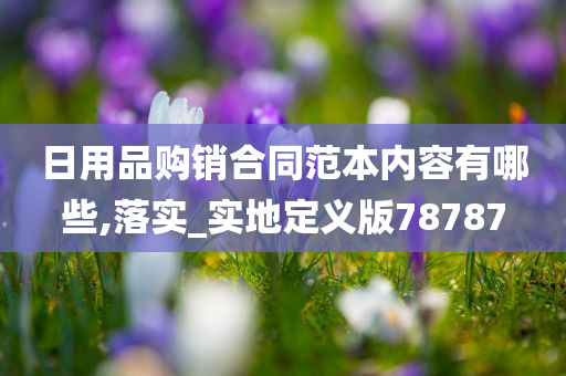 日用品购销合同范本内容有哪些,落实_实地定义版78787