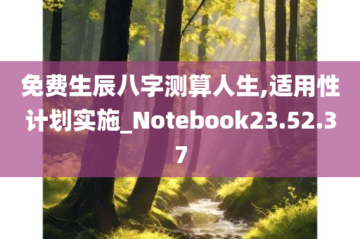 免费生辰八字测算人生,适用性计划实施_Notebook23.52.37