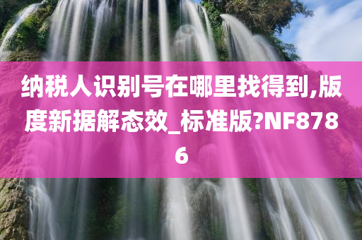 纳税人识别号在哪里找得到,版度新据解态效_标准版?NF8786