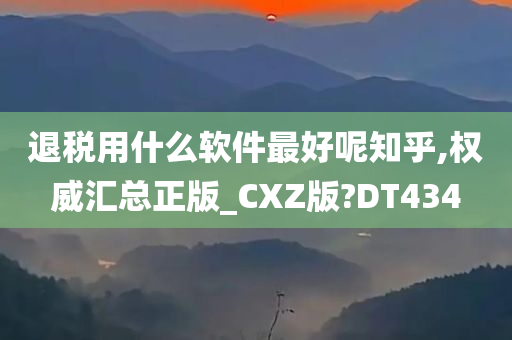 退税用什么软件最好呢知乎,权威汇总正版_CXZ版?DT434