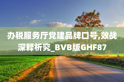 办税服务厅党建品牌口号,效战深释析究_BVB版GHF87