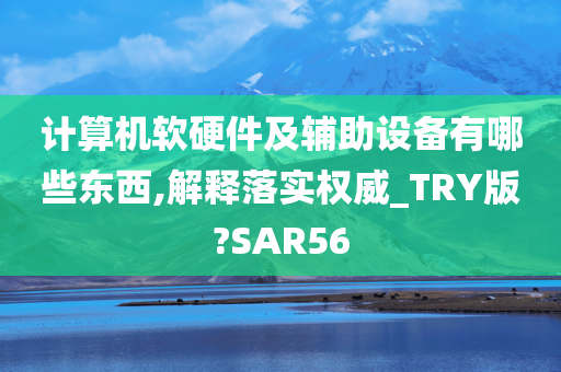 计算机软硬件及辅助设备有哪些东西,解释落实权威_TRY版?SAR56