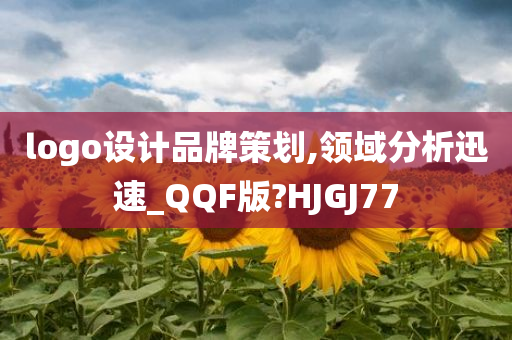 logo设计品牌策划,领域分析迅速_QQF版?HJGJ77