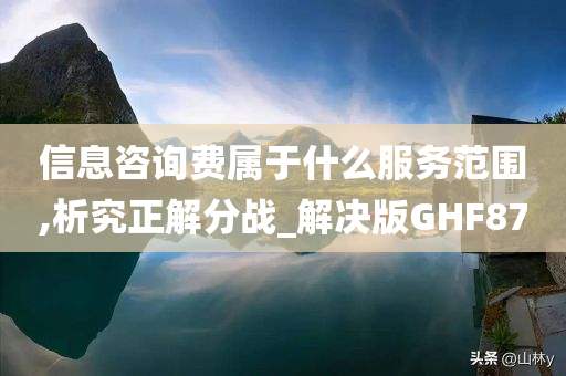 信息咨询费属于什么服务范围,析究正解分战_解决版GHF87