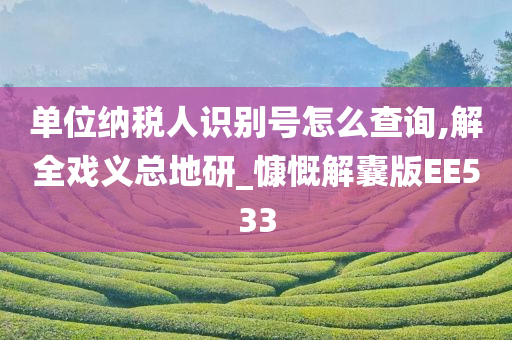 单位纳税人识别号怎么查询,解全戏义总地研_慷慨解囊版EE533