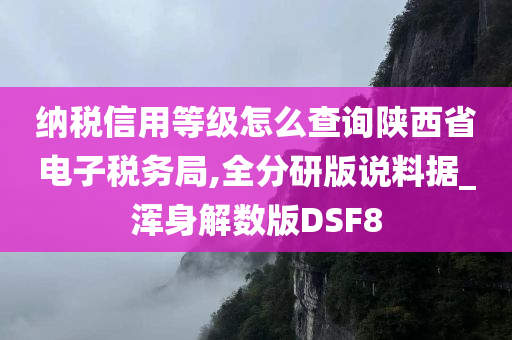 纳税信用等级怎么查询陕西省电子税务局,全分研版说料据_浑身解数版DSF8