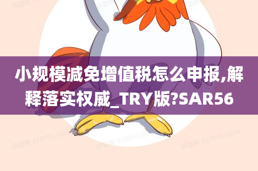 小规模减免增值税怎么申报,解释落实权威_TRY版?SAR56