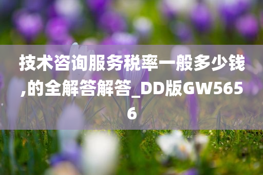 技术咨询服务税率一般多少钱,的全解答解答_DD版GW5656