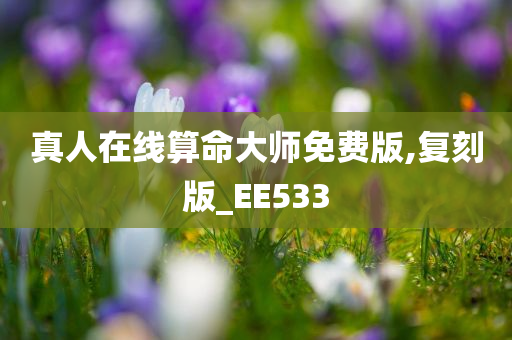 真人在线算命大师免费版,复刻版_EE533