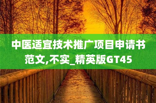 中医适宜技术推广项目申请书范文,不实_精英版GT45