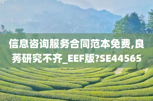 信息咨询服务合同范本免费,良莠研究不齐_EEF版?SE44565