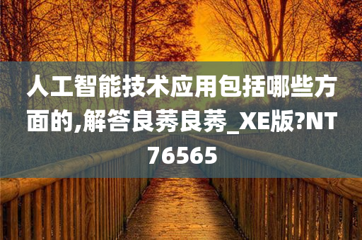 人工智能技术应用包括哪些方面的,解答良莠良莠_XE版?NT76565