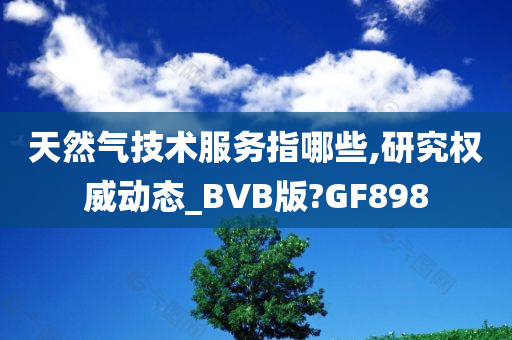 天然气技术服务指哪些,研究权威动态_BVB版?GF898