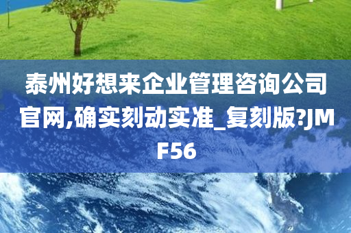 泰州好想来企业管理咨询公司官网,确实刻动实准_复刻版?JMF56