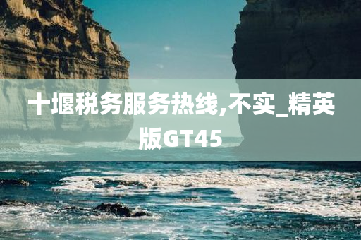 十堰税务服务热线,不实_精英版GT45