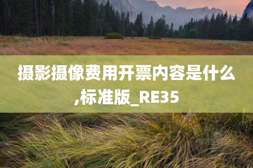 摄影摄像费用开票内容是什么,标准版_RE35