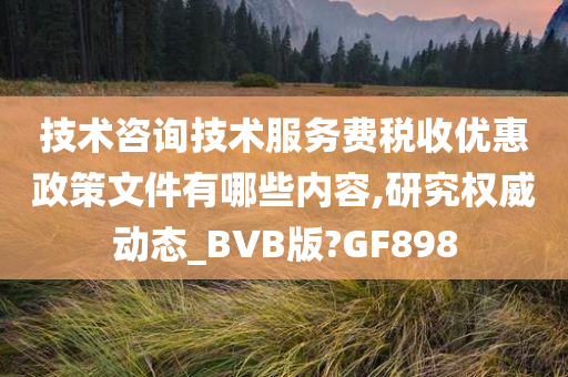 技术咨询技术服务费税收优惠政策文件有哪些内容,研究权威动态_BVB版?GF898