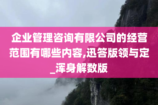 企业管理咨询有限公司的经营范围有哪些内容,迅答版领与定_浑身解数版